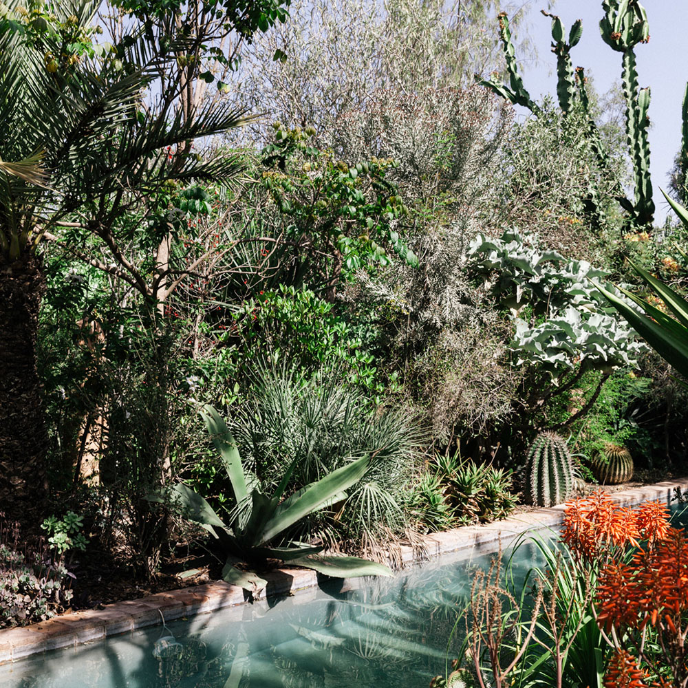 TAROUDANT POUR LIBERATION